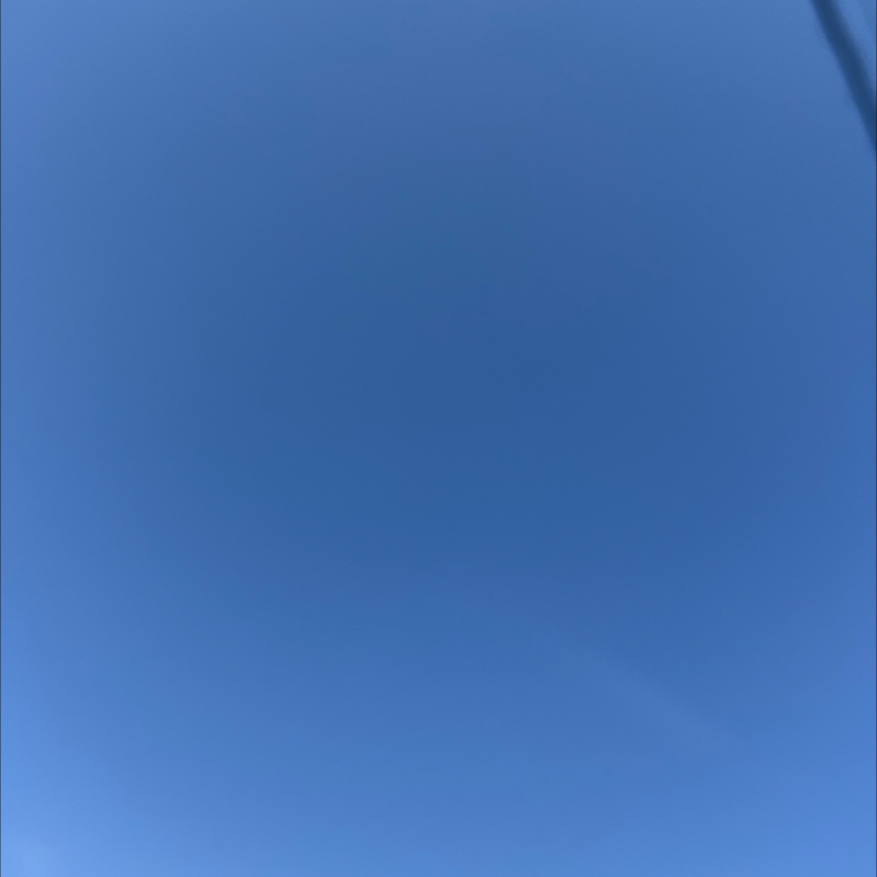 朝のルーティン