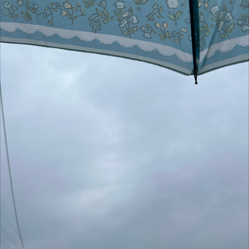 朝のルーティン