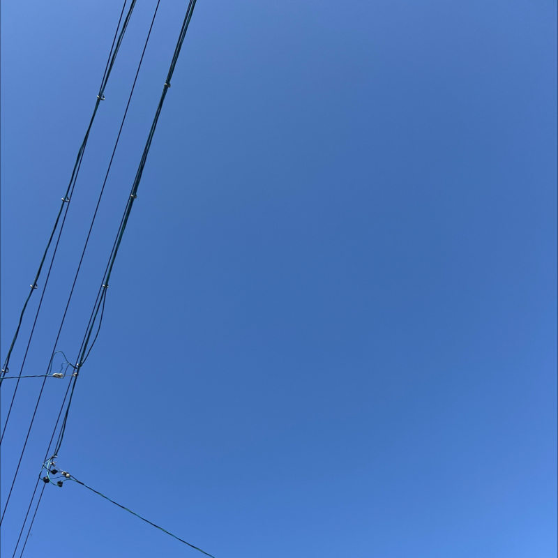 朝のルーティン　番外編