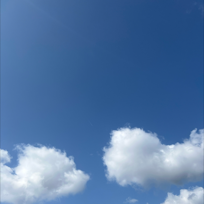 朝のルーティン