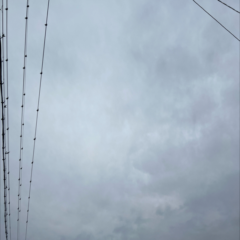 朝のルーティン