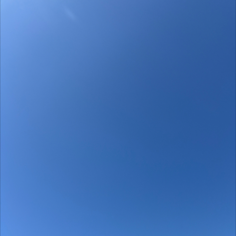 朝のルーティン