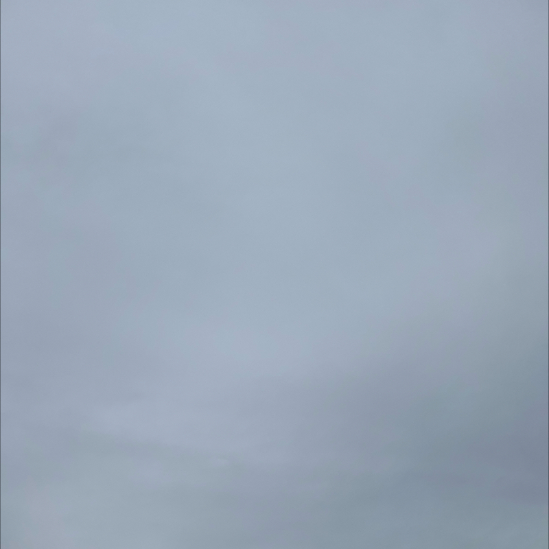 朝のルーティン