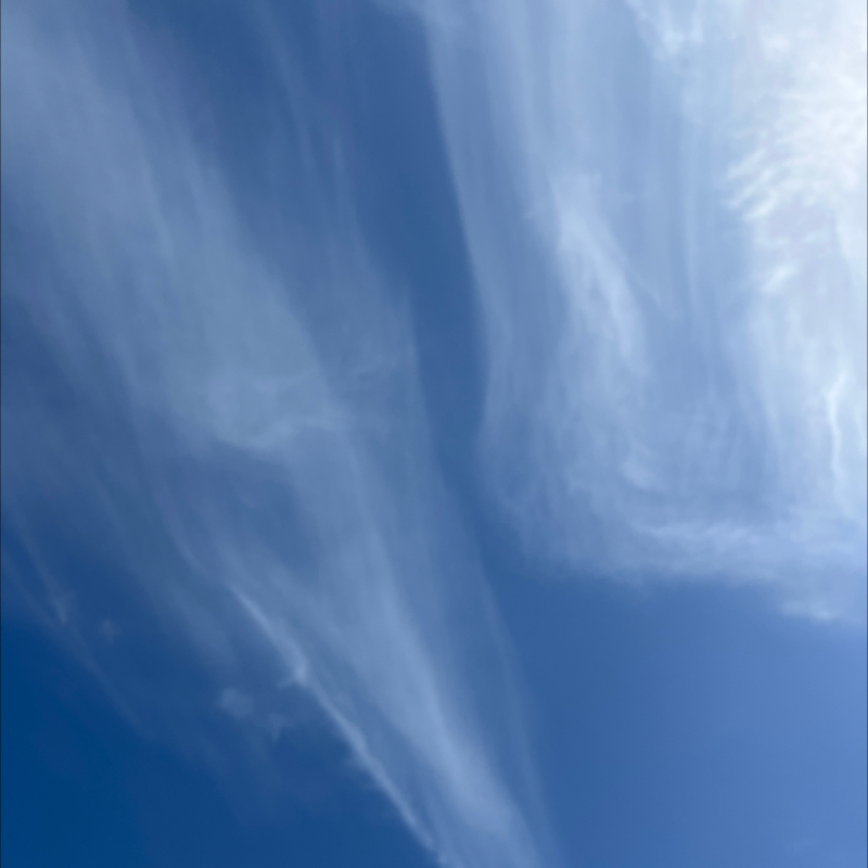 朝のルーティン