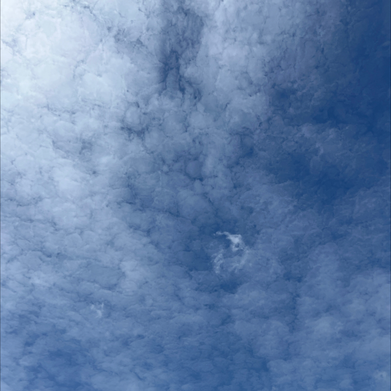 朝のルーティン