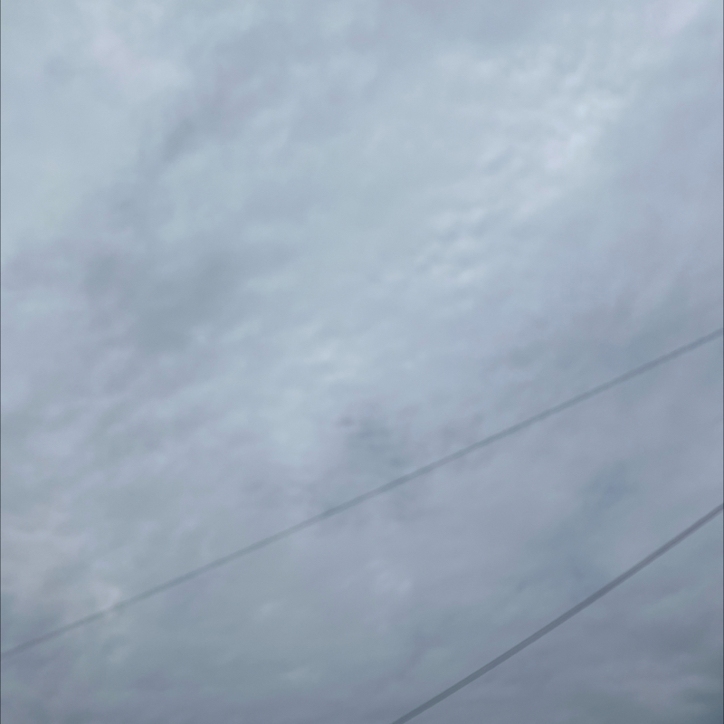 朝のルーティン