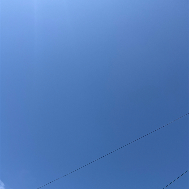 朝のルーティン