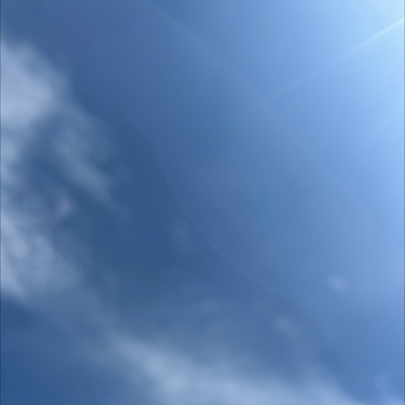 朝のルーティン