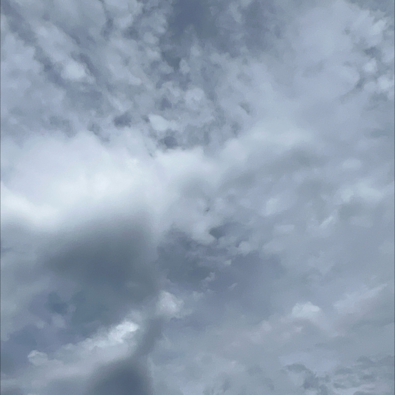朝のルーティン