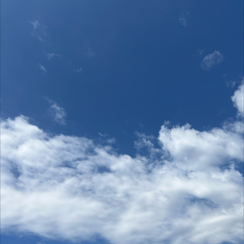 朝のルーティン