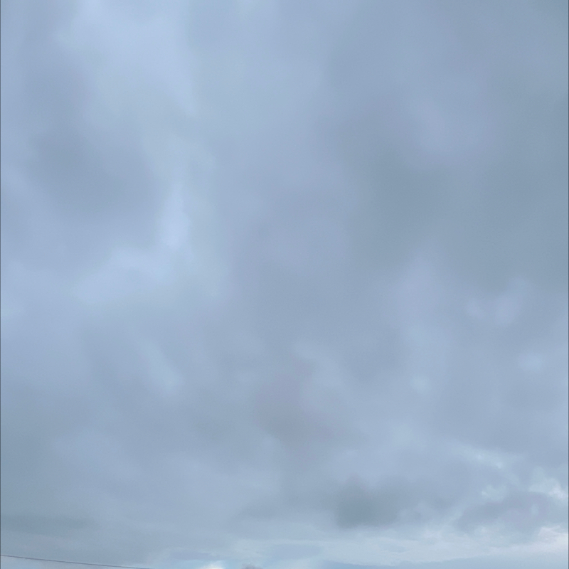 朝のルーティン
