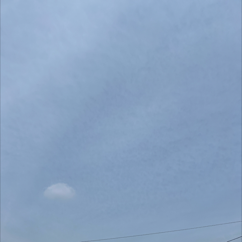 朝のルーティン