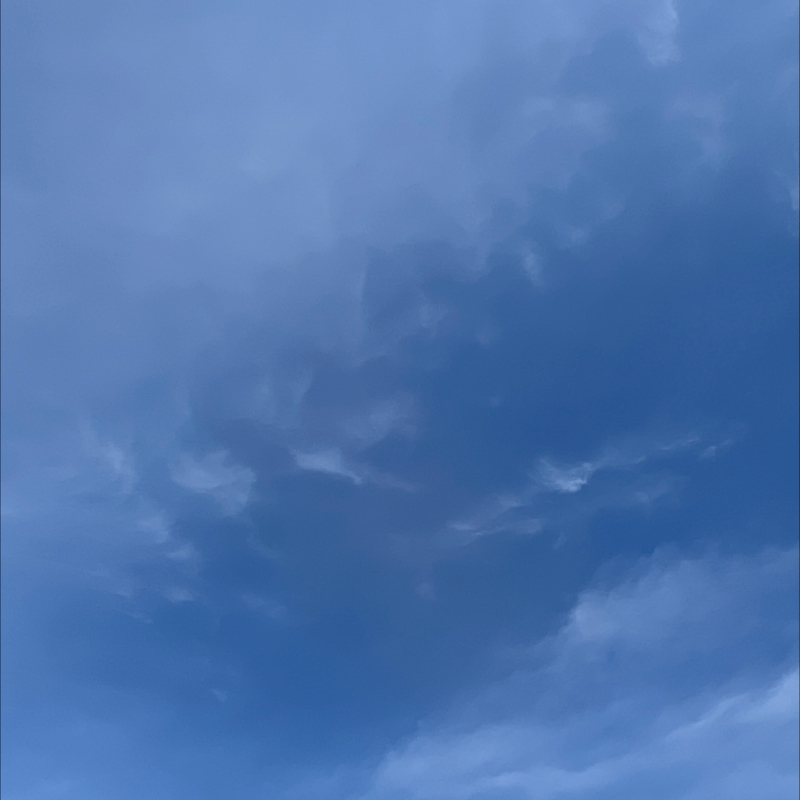朝のルーティン