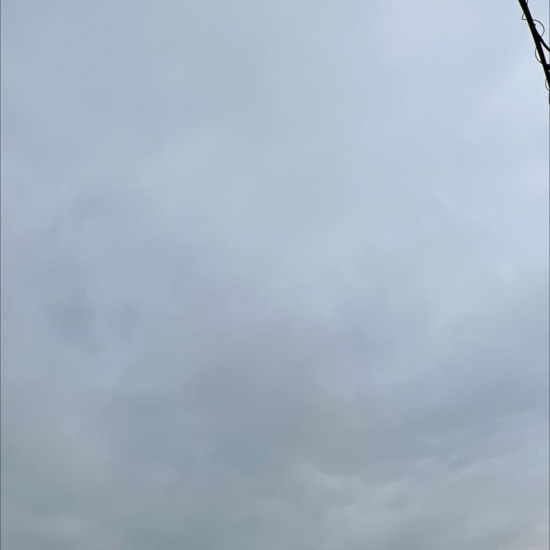 朝のルーティン