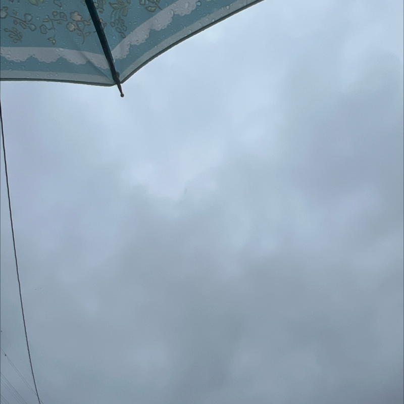 朝のルーティン