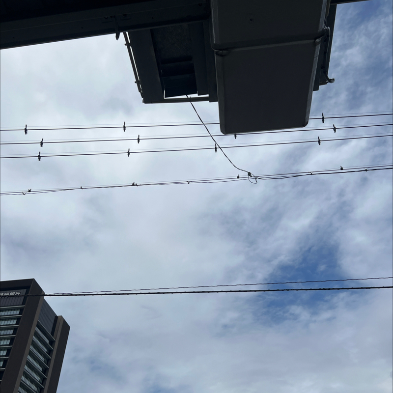 お出かけ