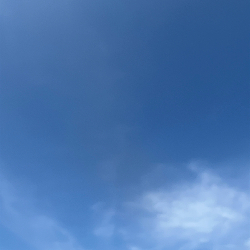 朝のルーティン