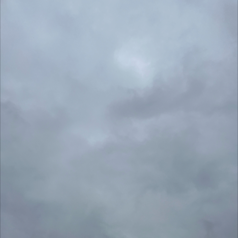 朝のルーティン