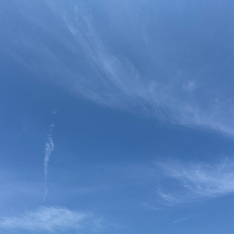 朝のルーティン