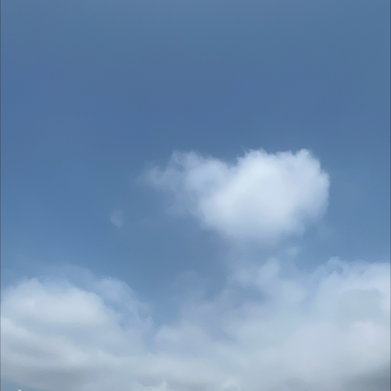 朝のルーティン