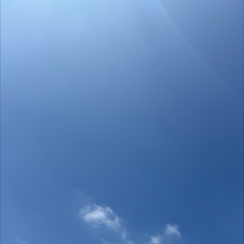 朝のルーティン