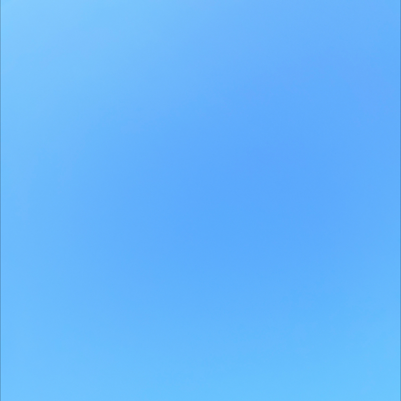 朝のルーティン