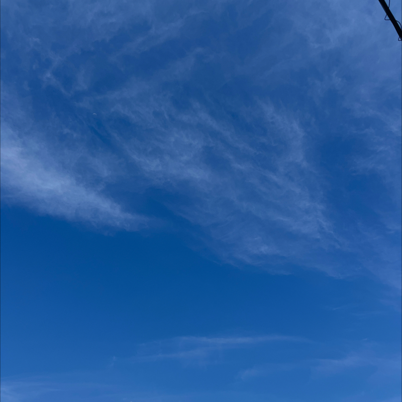 朝のルーティン