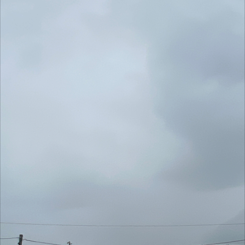 朝のルーティン