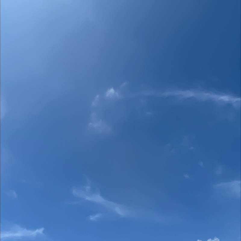 朝のルーティン