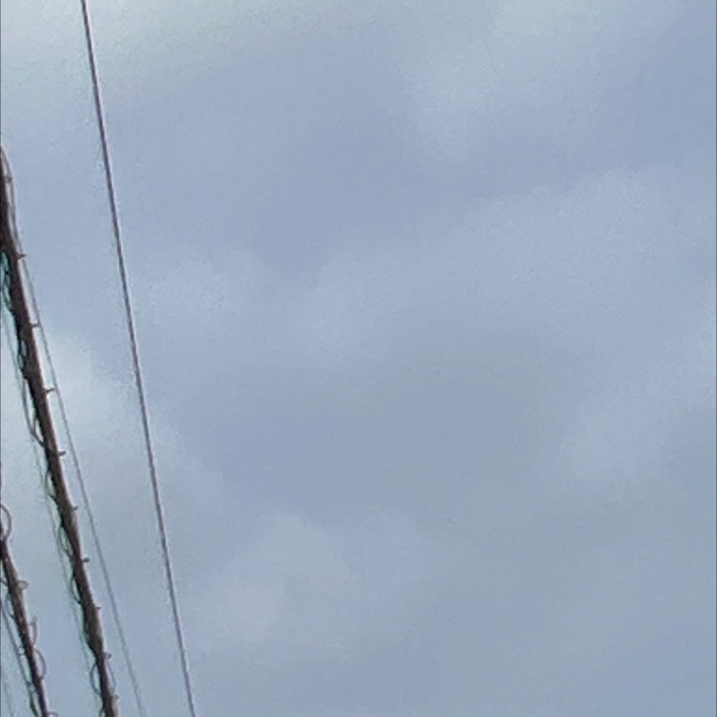 朝のルーティン　番外編