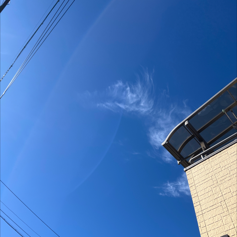 朝のルーティン番外編