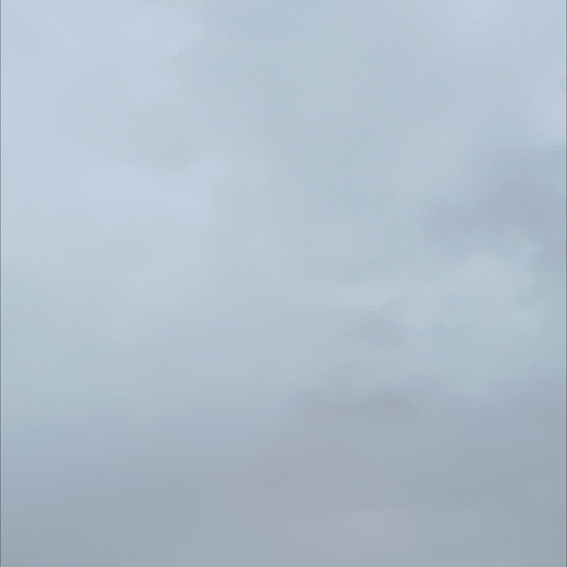 朝のルーティン