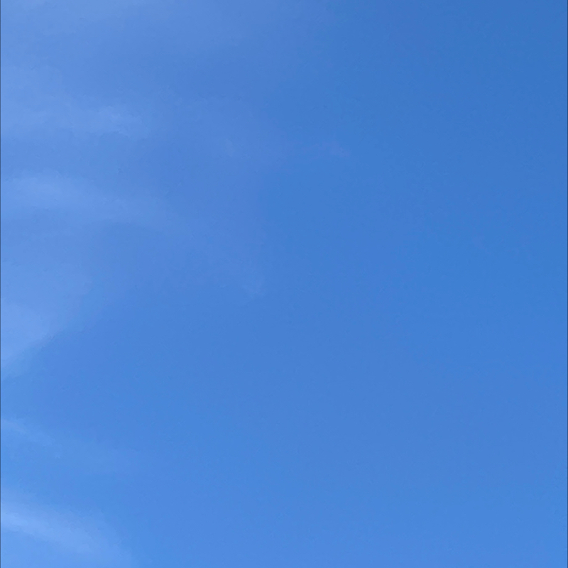 朝のルーティン　番外編