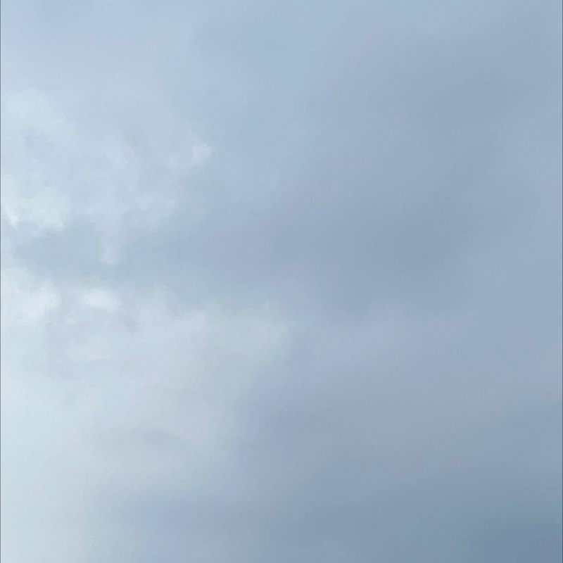 朝のルーティン
