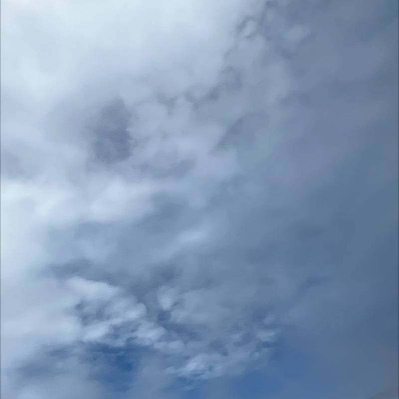 朝のルーティン
