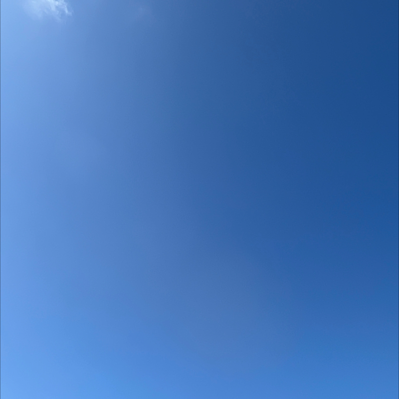 朝のルーティン