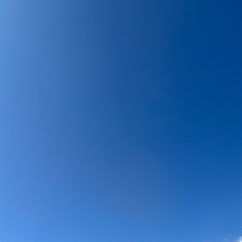 朝のルーティン