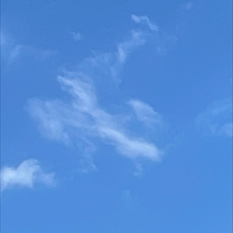 朝のルーティン　番外編
