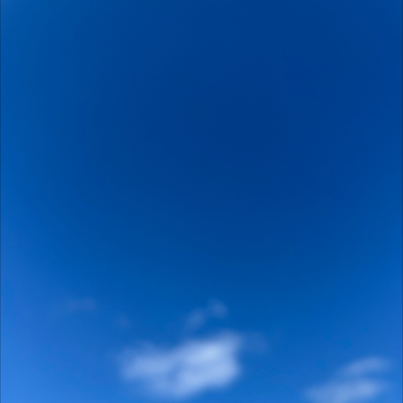 朝のルーティン