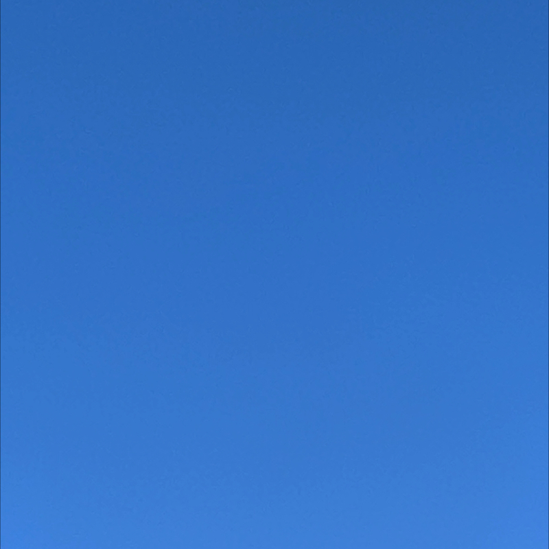 朝のルーティン