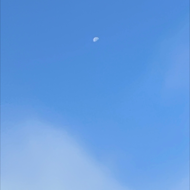 朝のルーティン番外編