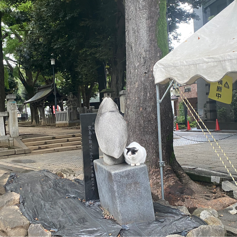 鬼子母神より