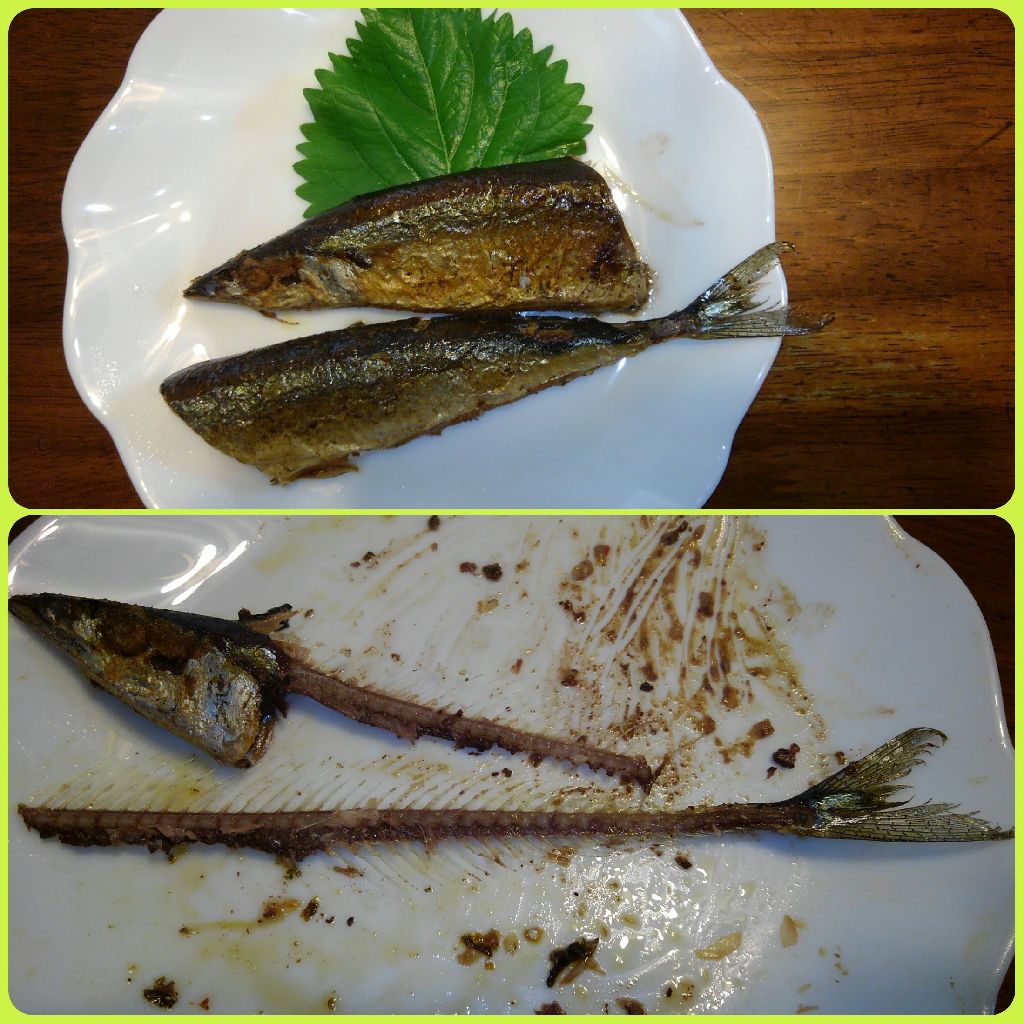 ep.25）無駄なモノって大切じゃないですか？