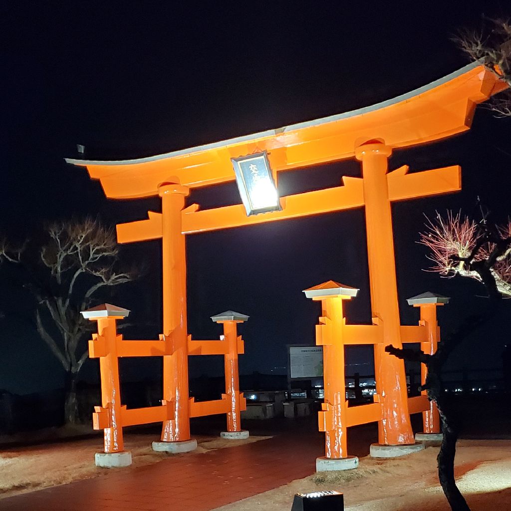 #66 岡山での出来事を振り返る。宮島SA駐車場にて