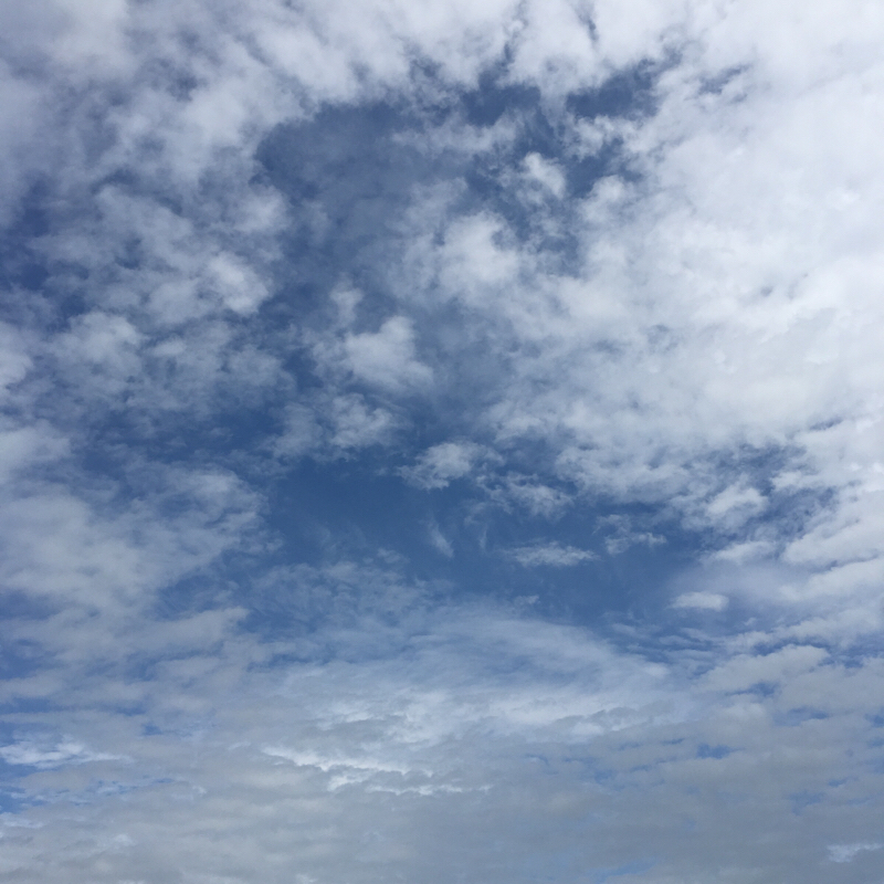 #番外 私の人生に影響を与えた一曲