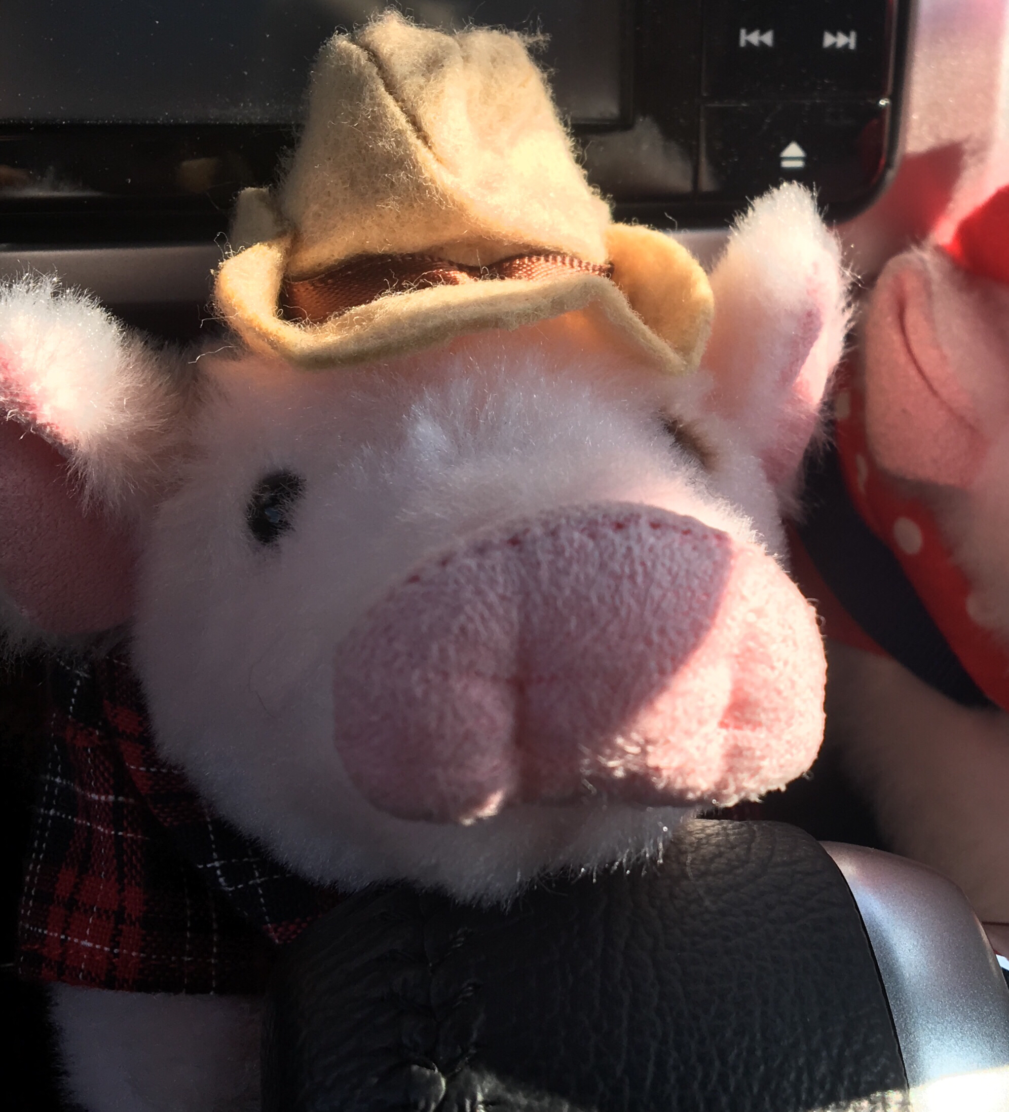 みなさんお疲れ様です