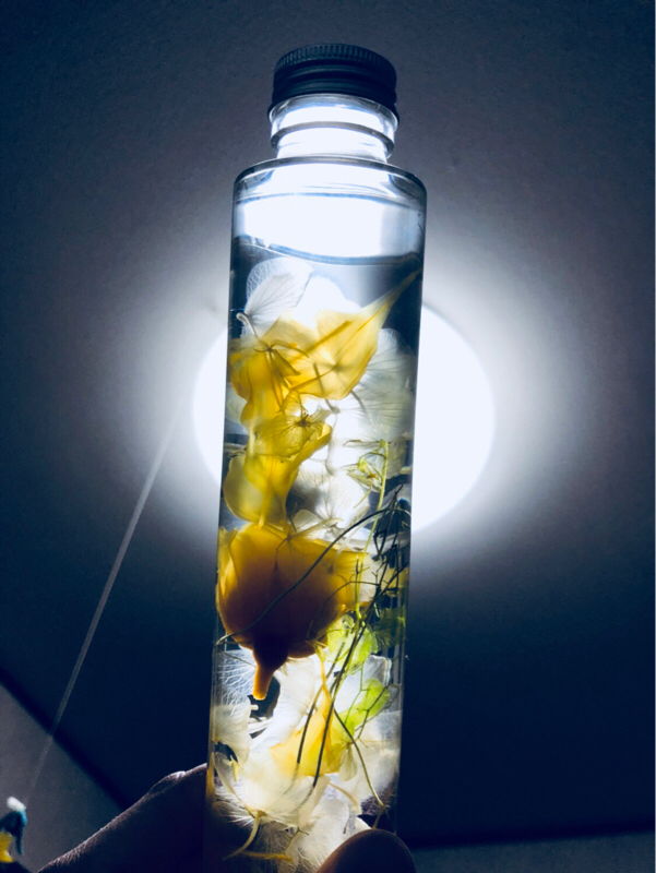 言葉は「事実不在」 #83匹目