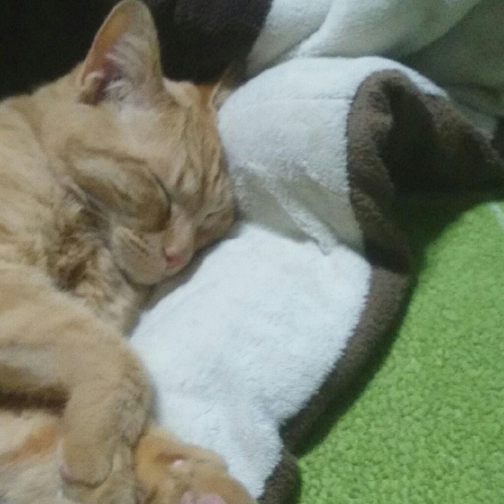 レトロゲームです。pcエンジン大好き