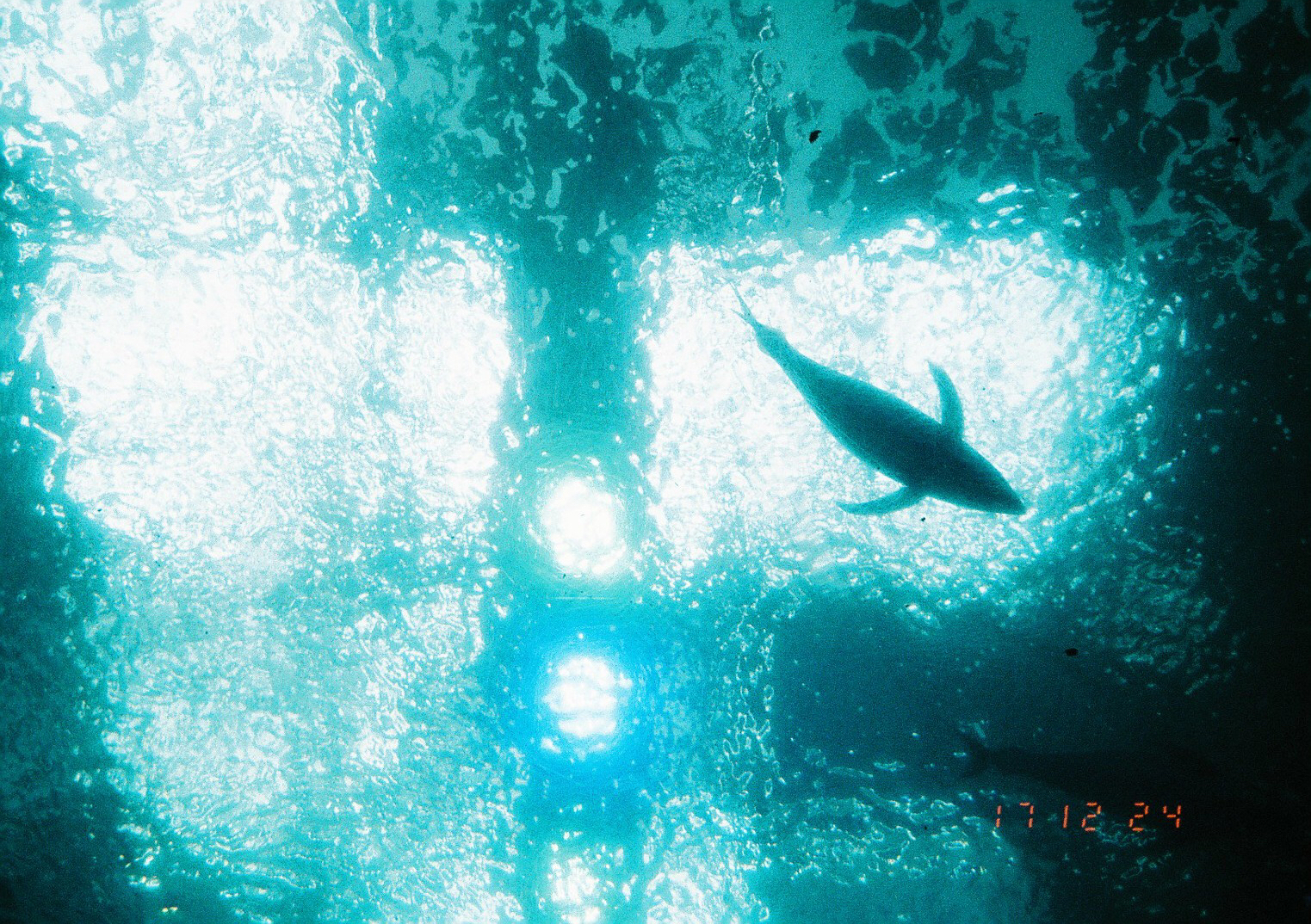 眠れない夜には