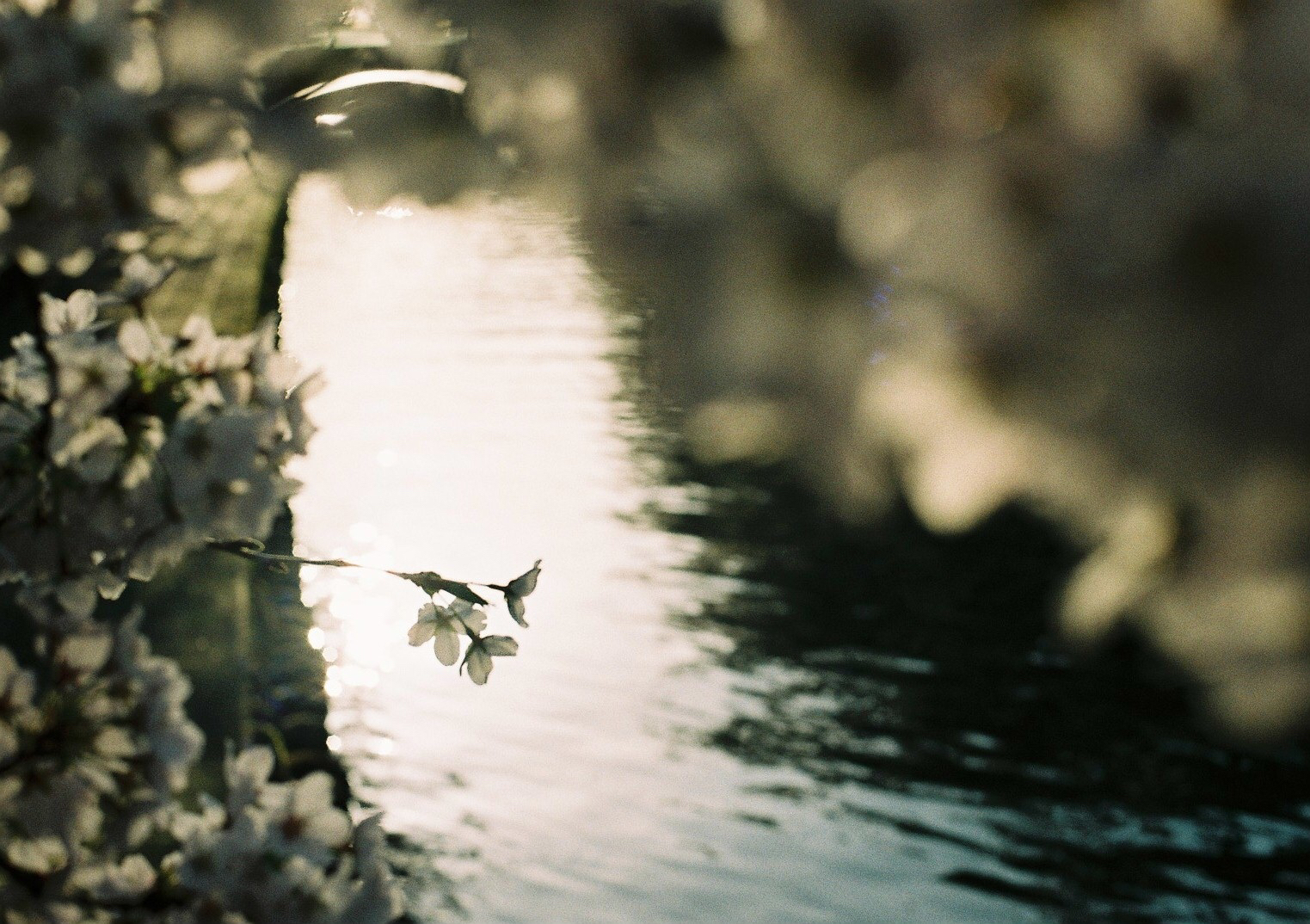 眠れない夜に。